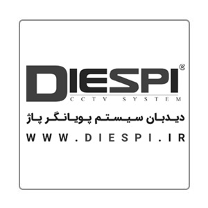 دیدبان سیستم پویانگر پاژ